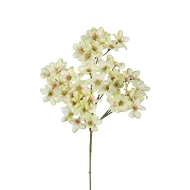 DOGWOOD MINI 69CM LICHTGROEN