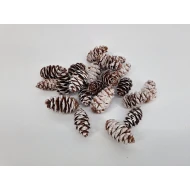 DOUGLASI WHITE WASH +/-100GR