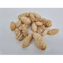 DOUGLASII GEBLEEKT +/-500GR