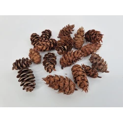 DOUGLASII NATUREL +/-500GR