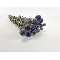 ECHINOPS NATUREL BOPP/kraft hobbyverpakking