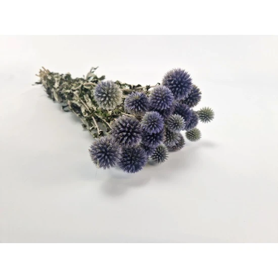 ECHINOPS NATUREL BOPP/kraft