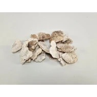 SPONGE MUSHROOM SMALL WHITE WASH +/-90GR