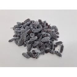 ALDER WHITE WASH +/-75GR