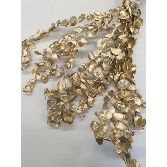 EYCALYPTUS CYNEREAS OR +/-150GR