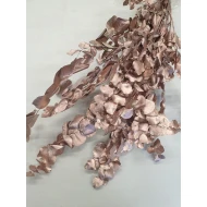 EUCALYPTUS CYNEREAS ROSE GOLD +/-150GR BOPP/kraft Small packaging