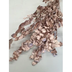 EUCALYPTUS CYNEREAS ROSE GOLD +/-75GR BOPP/kraft hobbyverpakking