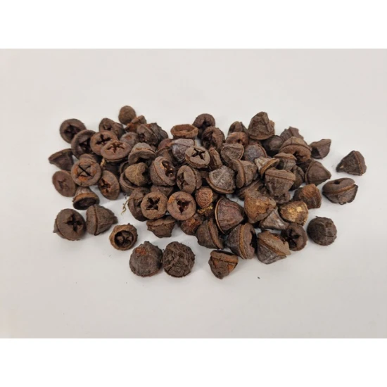 EUCALYPTUS FRUIT (PODS) NATUREL +/-1KG