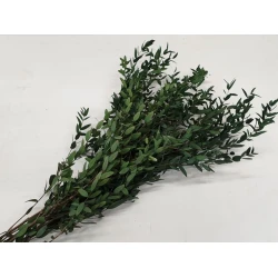EUCALYPTUS PARVIFOLIA GECONSERVEERD GROEN +/-75GR BOPP/kraft hobbyverpakking