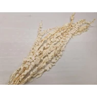 EUCALYPTUS SPIRALUS GECONSERVEERD GEBLEEKT 10ST BOPP/kraft hobbyverpakking