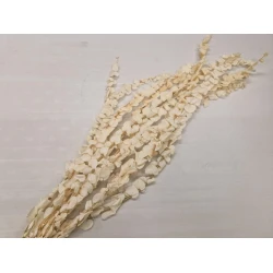 EUCALYPTUS SPIRALUS PRESERVED BLEACHED 10PCS BOPP/kraft Small packaging