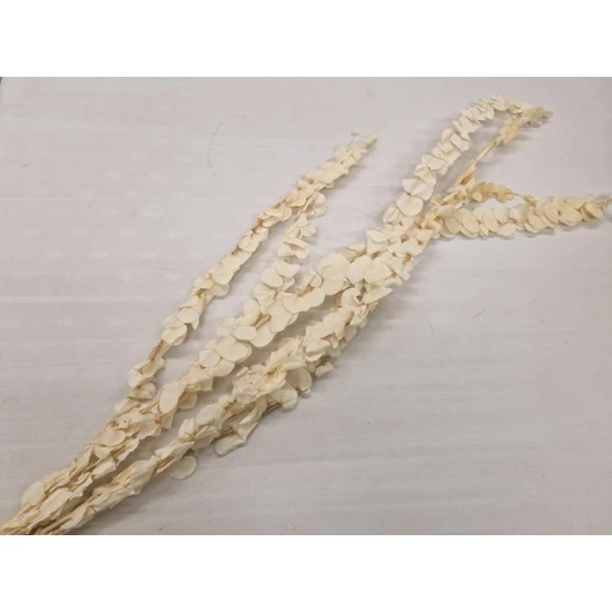 EUCALYPTUS SPIRALUS GECONSERVEERD GEBLEEKT 5ST BOPP/kraft hobbyverpakking