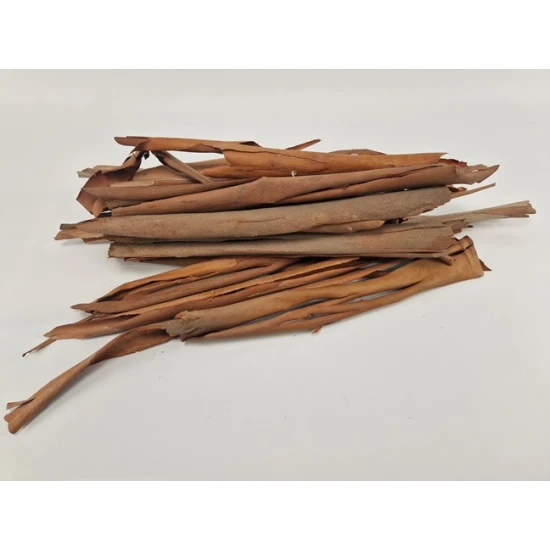 EUCALYPTUSSCHORS NATUREL +/- 500GR