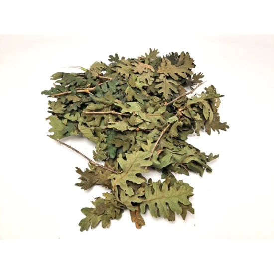 Eiken blaadjes (gestabiliseerd) groen +/-200gr