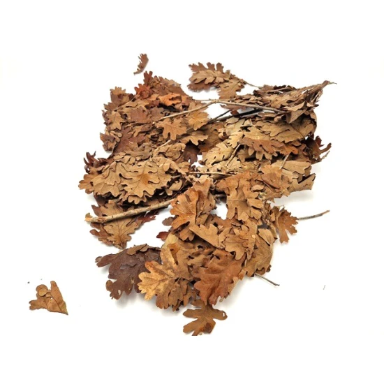 Eiken blaadjes (gestabiliseerd) oranje +/-200gr