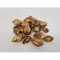 FIBRE CUP BEETLE HALF GOLD +/-100GR