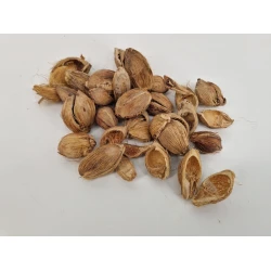 FIBRE CUP BEETLE HALF NATURAL +/-500GR