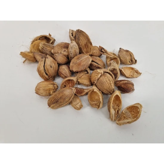 FIBRE CUP BEETLE HALF NATURAL +/-500GR