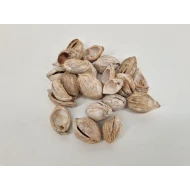 FIBRE CUP BEETLE HALF WHITE WASH +/-100GR