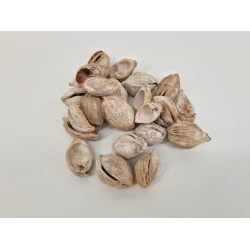 FIBRE CUP BEETLE HALF WHITE WASH +/-500GR