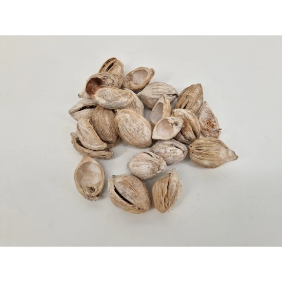 FIBRE CUP BEETLE HALF WHITE WASH +/-500GR