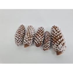 FIJNSPAR WHITE WASH +/-500GR