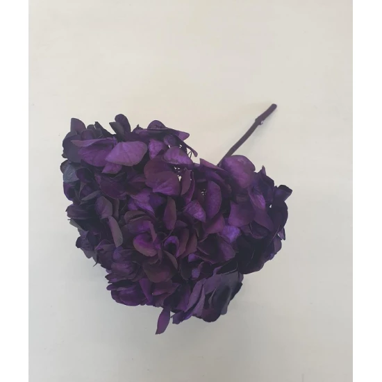 GECONSERVEERDE HORTENSIA (HYDRANGEA) SWEET VIOLET +/-15CM