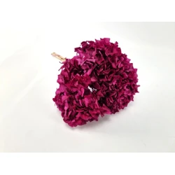 GECONSERVEERDE HORTENSIA (HYDRANGEA) +/-15CM BORDEAUX 1ST