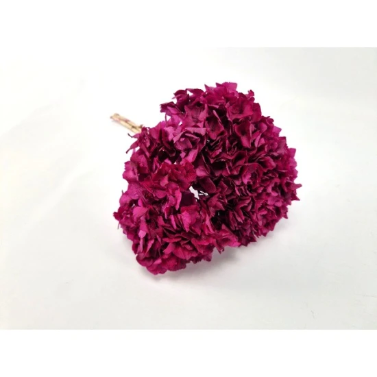 GECONSERVEERDE HORTENSIA (HYDRANGEA) +/-15CM BORDEAUX 1ST