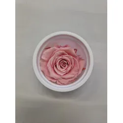 GECONSERVEERDE ROOS (MEDIUM OPEN) +/- 4.5CM ROZE 8ST