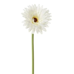 GERBERA 58CM WIT