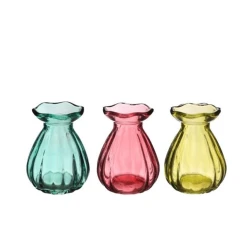 BOUTEILLE D7 H9 MIX SUMMER 12PCS