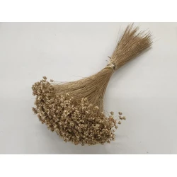 GLIXIA GOLD +/-50GR BOPP/kraft Small packaging