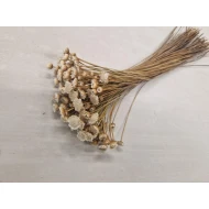 GLIXIA GIANT WHITE +/-50GR BOPP/kraft Small packaging