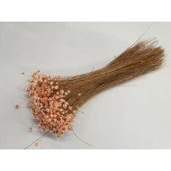 GLIXIA MELOEN +/-50GR BOPP/kraft hobbyverpakking