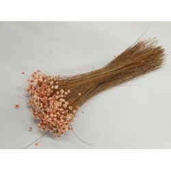 GLIXIA MELON +/-50GR BOPP/kraft Small packaging