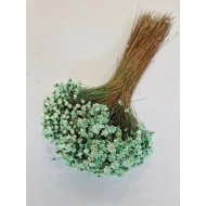 GLIXIA MUNT +/-100GR