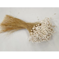 GLIXIA WHITE +/-50GR BOPP/kraft Small packaging