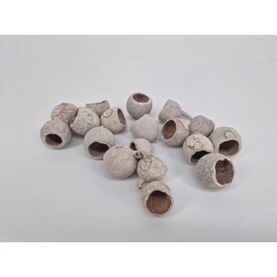 GOURI CUP WHITE WASH +/-100GR