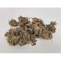 GRIJS MOS (LITCHEN MOS) +/-1KG