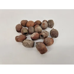 GUMBELLS NATUREL +/-100GR