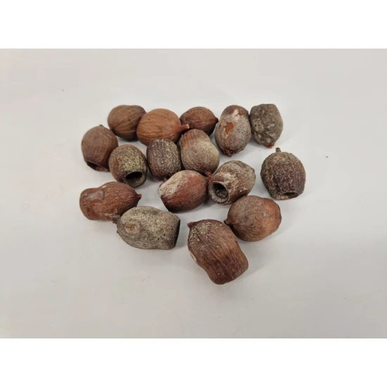 GUMBELLS NATUREL OP DRAAD 100ST