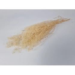 GYPSOPHILA MINI CREAM +/-50GR BOPP/kraft Small packaging