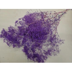 GYPSOPHILA MINI LILAC +/-100GR 