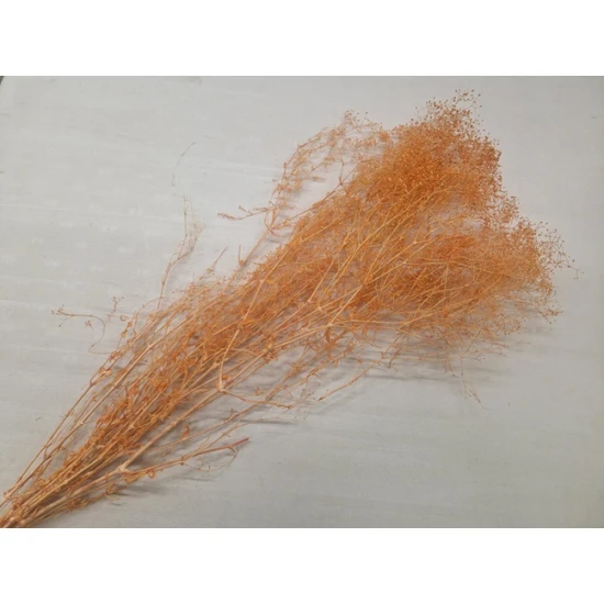 GYPSOPHILA MINI ORANJE +/-50GR BOPP/kraft hobbyverpakking