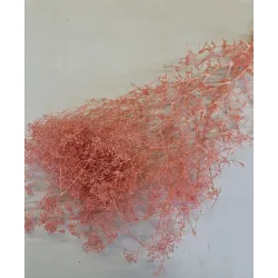 GYPSOPHILA MINI POWDER PINK +/-100GR 
