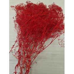 GYPSOPHILA MINI RED +/-100GR