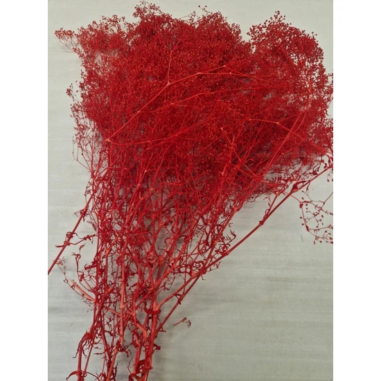GYPSOPHILA MINI ROUGE +/-100GR