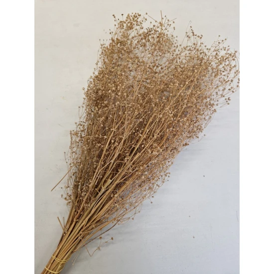 GYPSOPHILA WILD MARRON BOPP/kraft