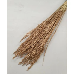 AVOINE OR ANTIQUE 1/2 BOPP/kraft emballage hobby